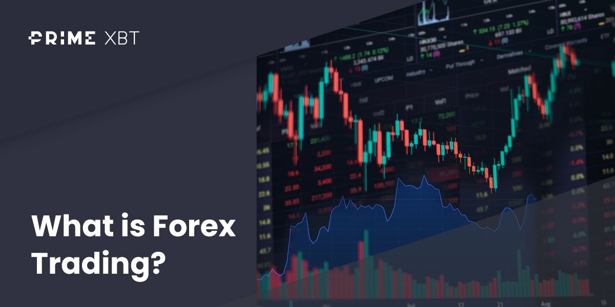 What is forex trading? - Blog forex 03 03