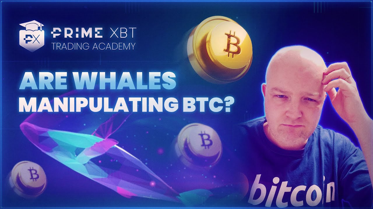 Are Whales manipulating the Bitcoin price?