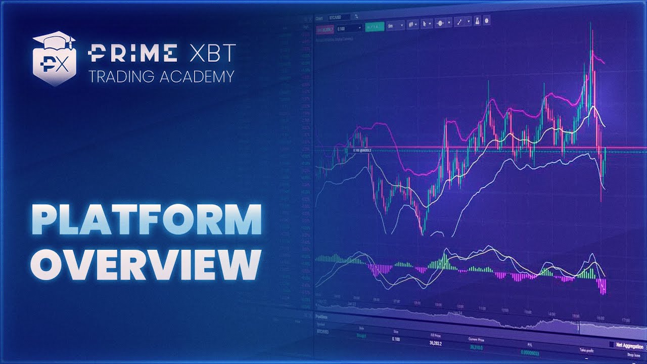 Mine Steady Trading Tutorial 1: Platform Overview